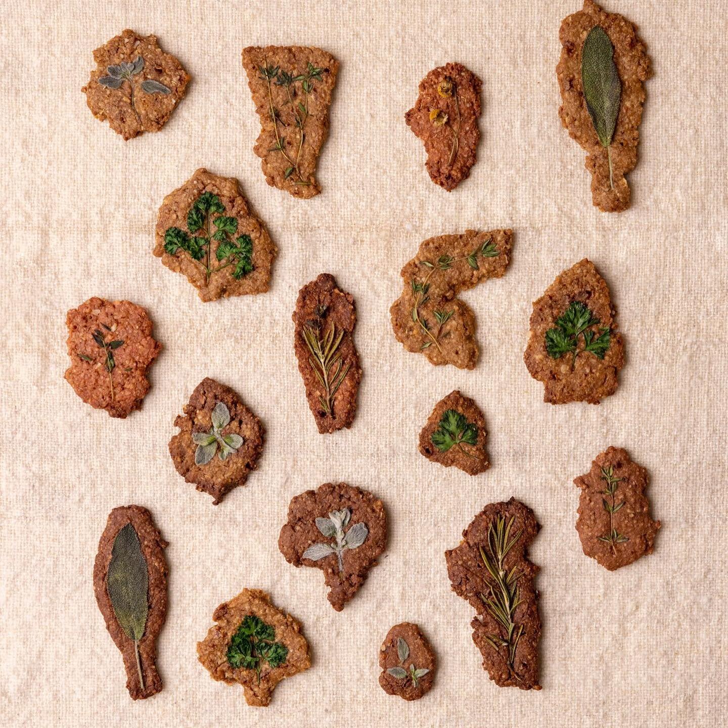In case you missed my foray into edible art(ists) and have no clue what the link between these earth coloured herb cookies and the great Georgia O&rsquo;Keeffe might be: I saved the story in my highlights!