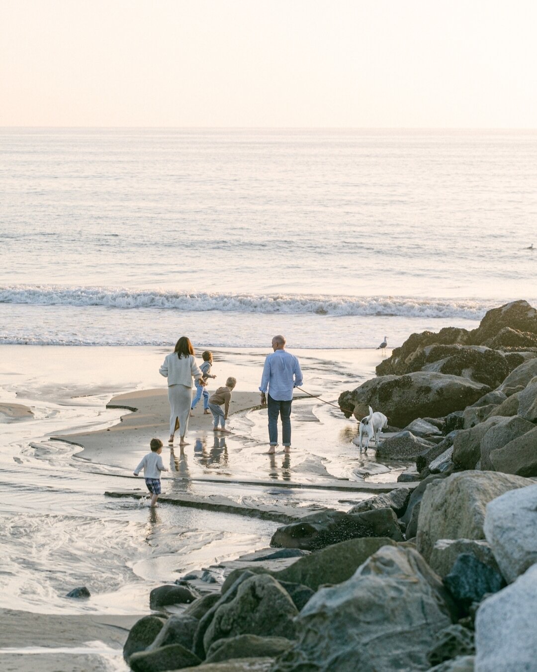 ✨⁣

#family #familysession #lifestyle #lifestylefamily #explore #vanessatierney #beachfamilysession #beach #malibu #willrogersstatebeach #vanessatierneyphotography #fineartfamily #timelessfamilysession