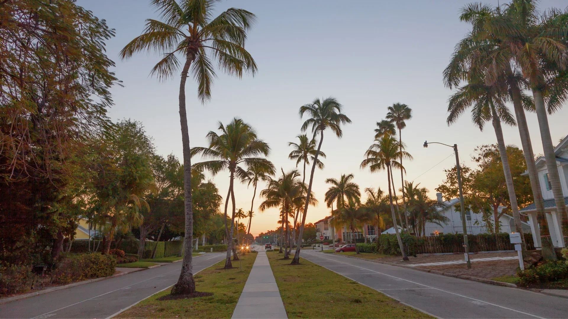 A Smarter Approach to Seasonal Landscaping in South Florida