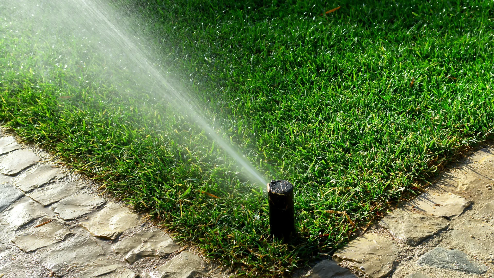 Smart Irrigation Services for Florida’s Wet and Dry Seasons
