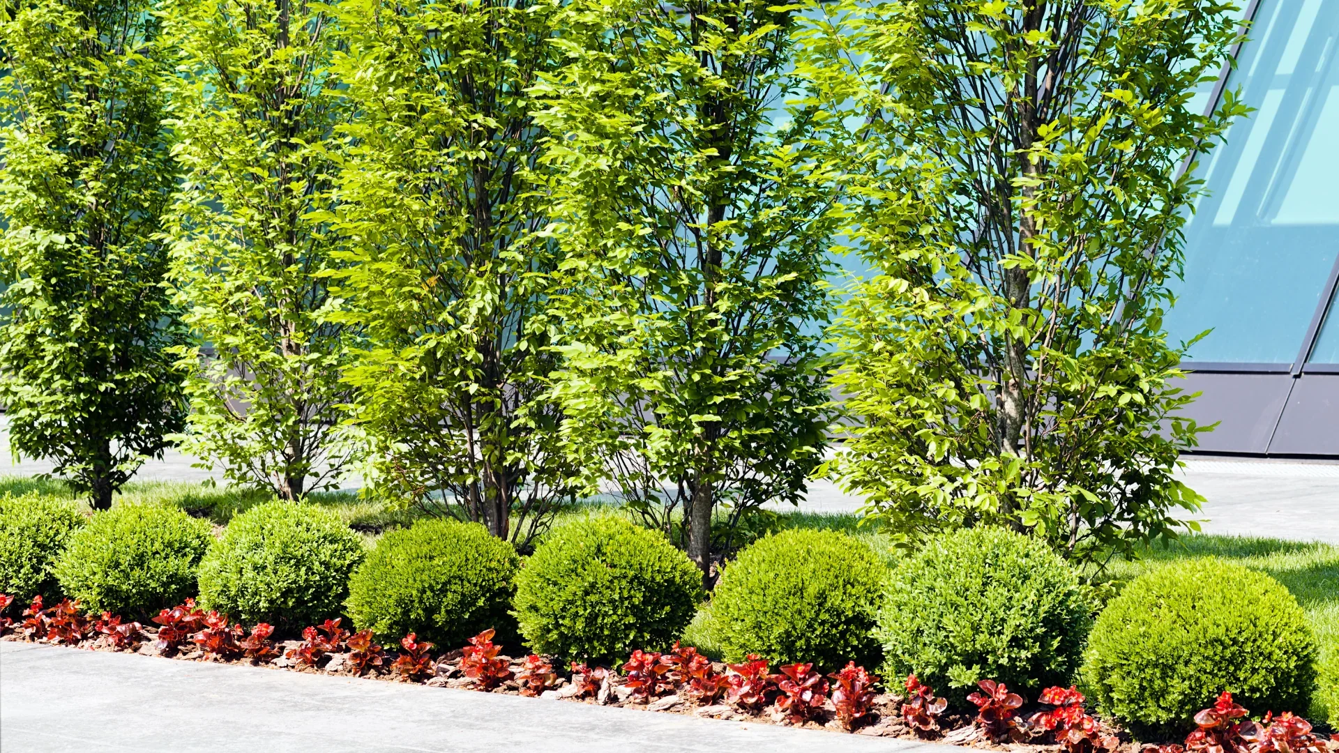 Why Commercial Landscaping Is Key for Property Value Investment