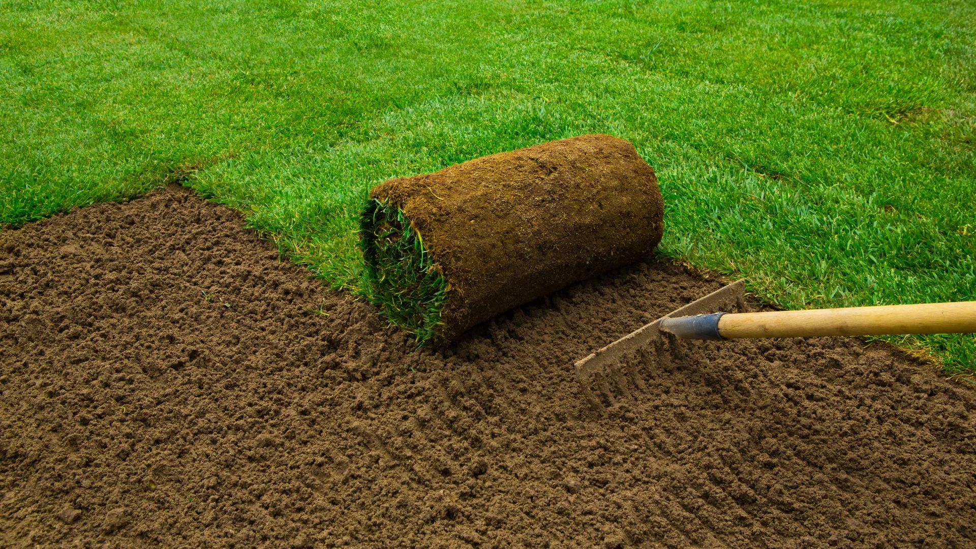 Best Time for Sod Installation in South Florida