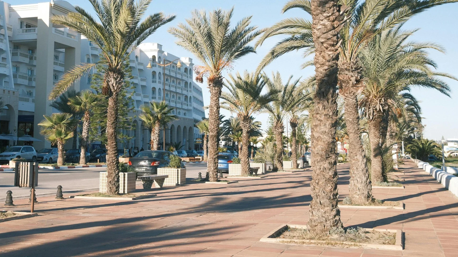 Tree Care Tips for Healthy Growth Before the Florida Warmth Comes