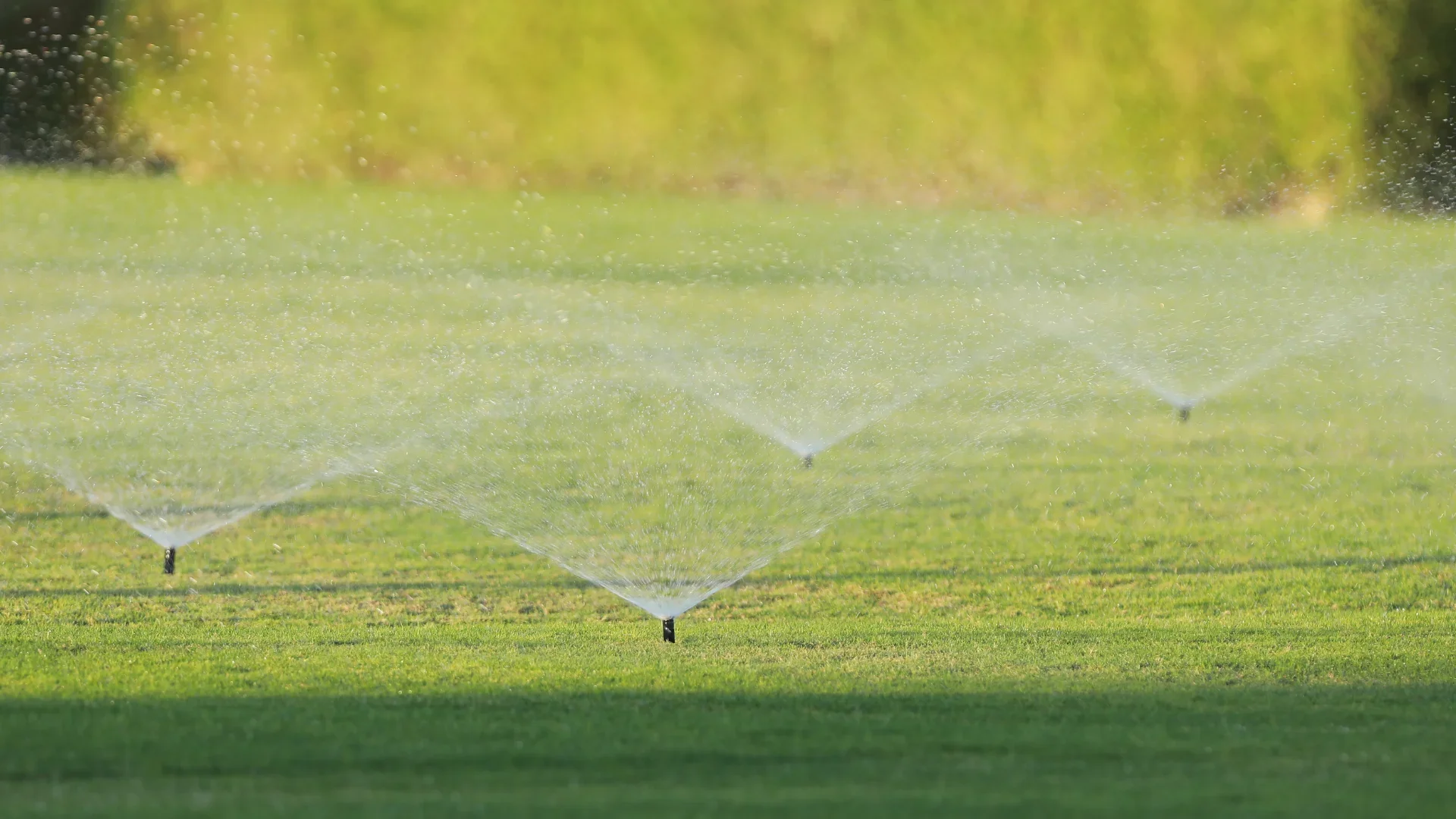 Is Your Lawn Irrigation System Ready for Spring in South Florida?