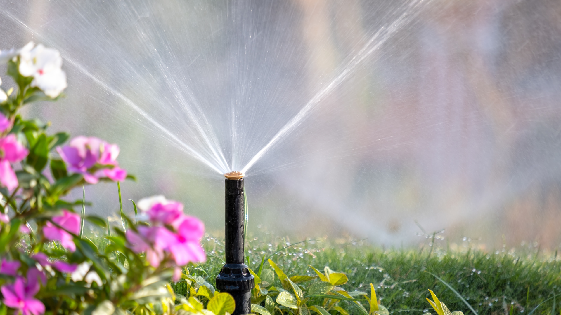 Commercial Lawn Irrigation Mistakes to Avoid Before Florida’s Rainy Season