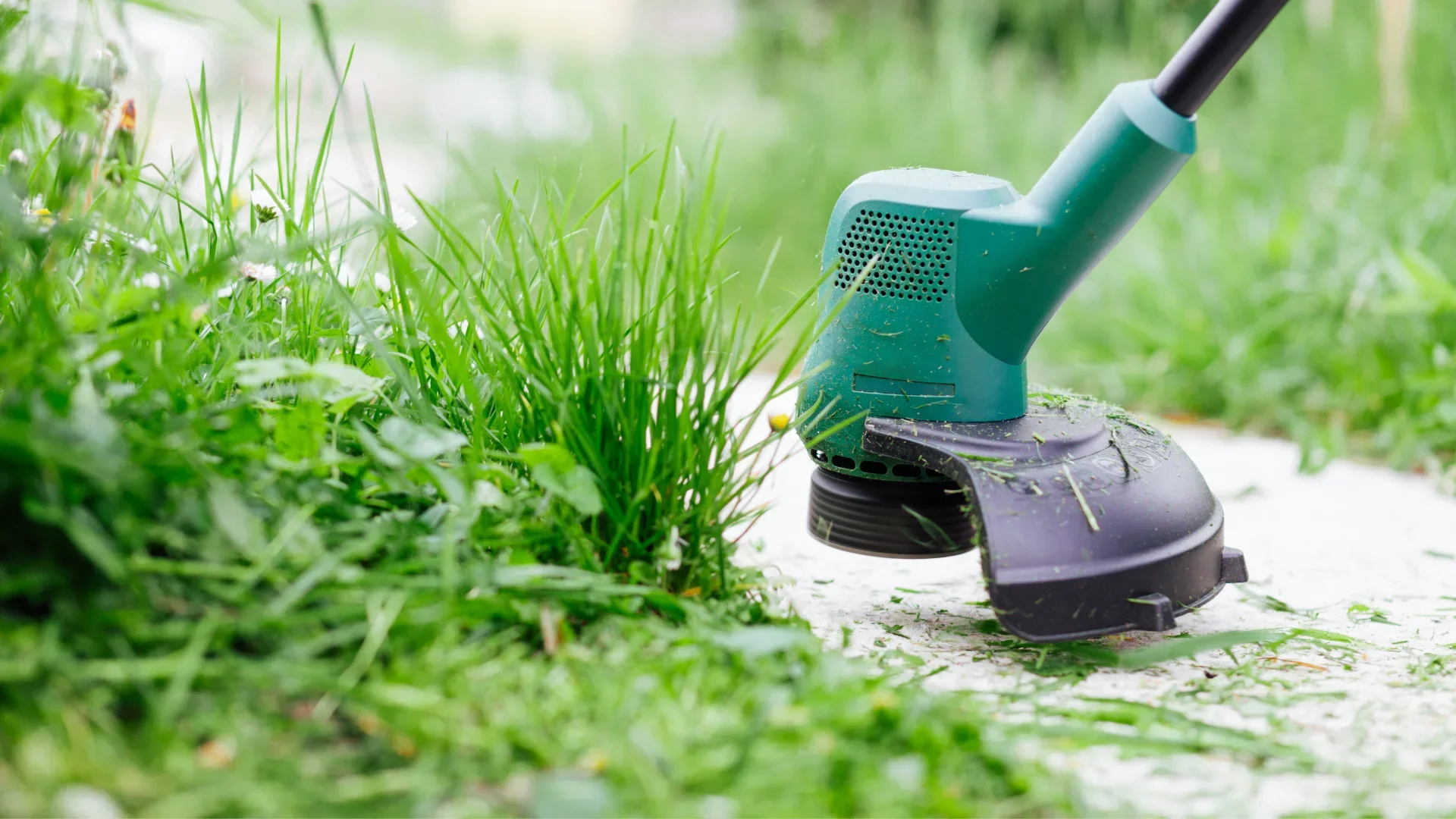 Commercial Lawn Care Strategies for South Florida’s Summer Heat