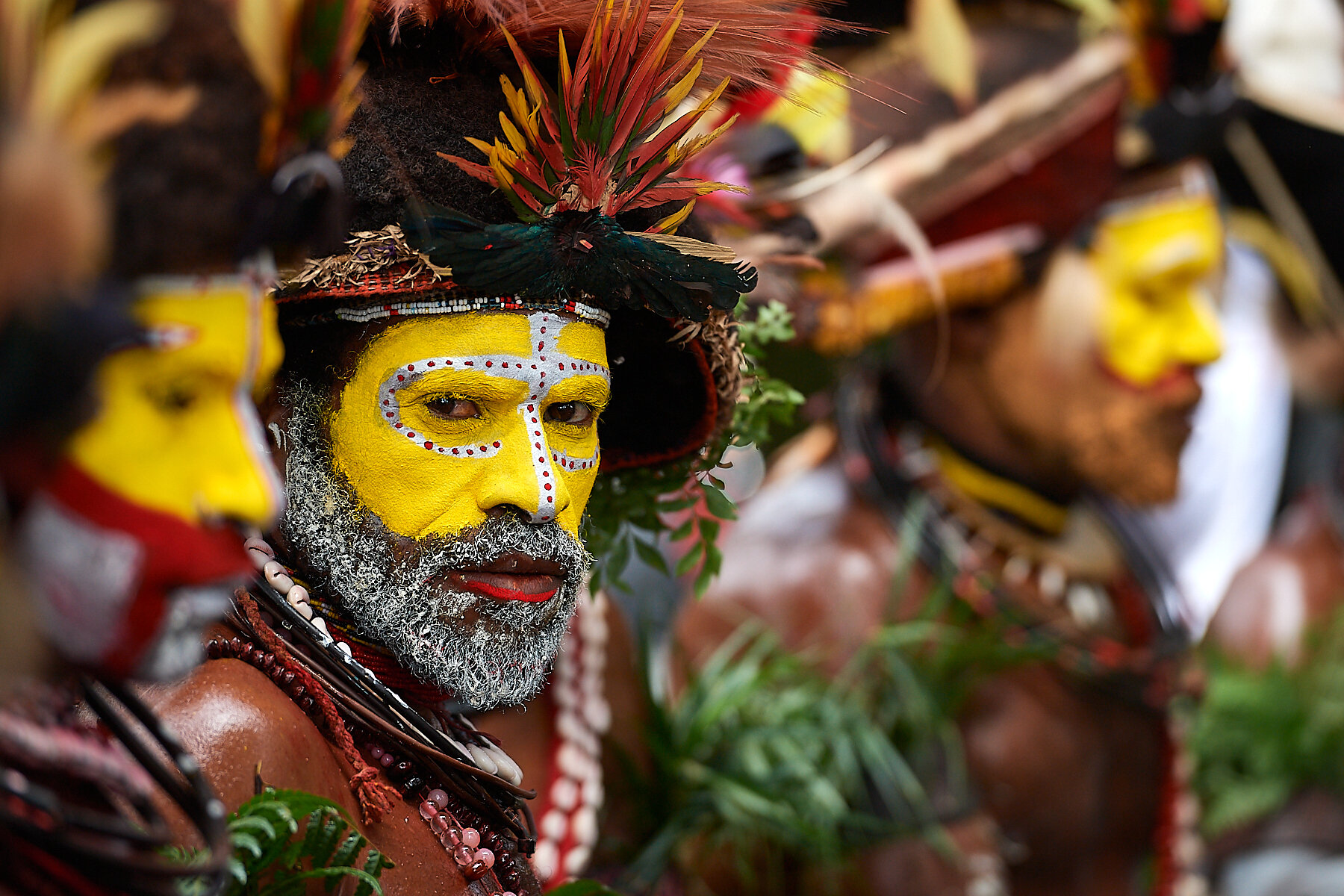 Huli warrior group, Papua New Guinea