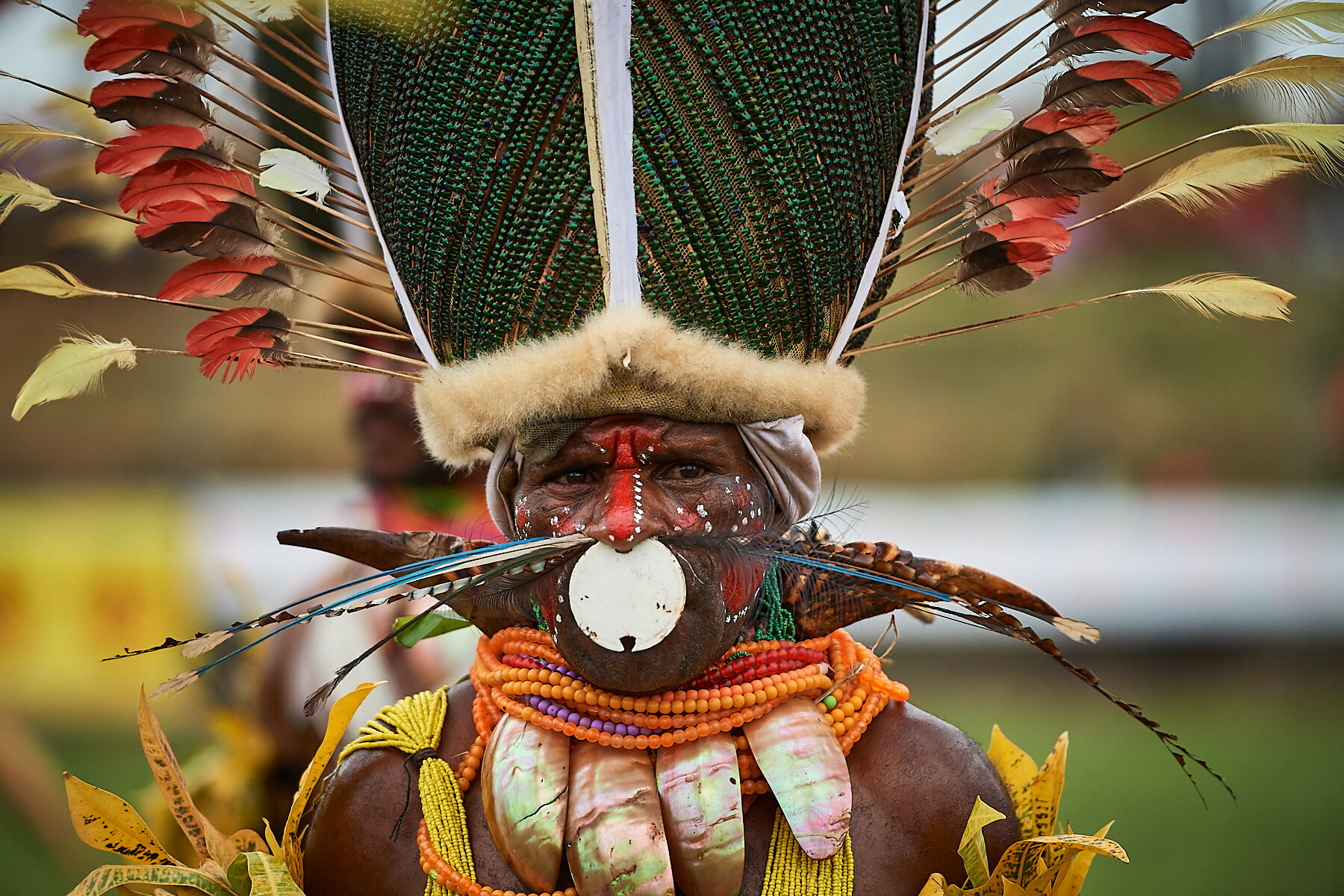 Beetleheads warrior, Papua New Guinea