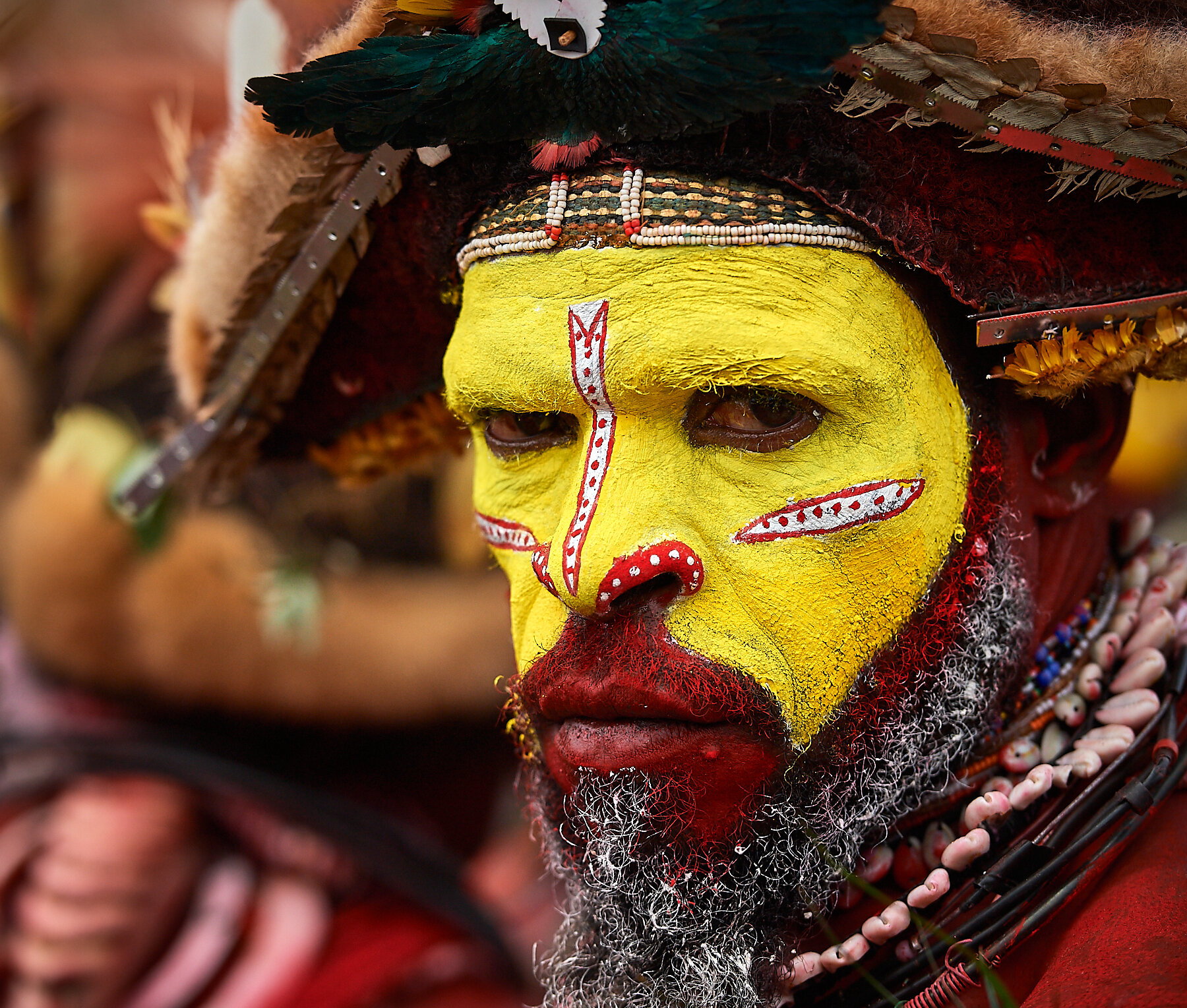 Huli warrior, Papua New Guinea