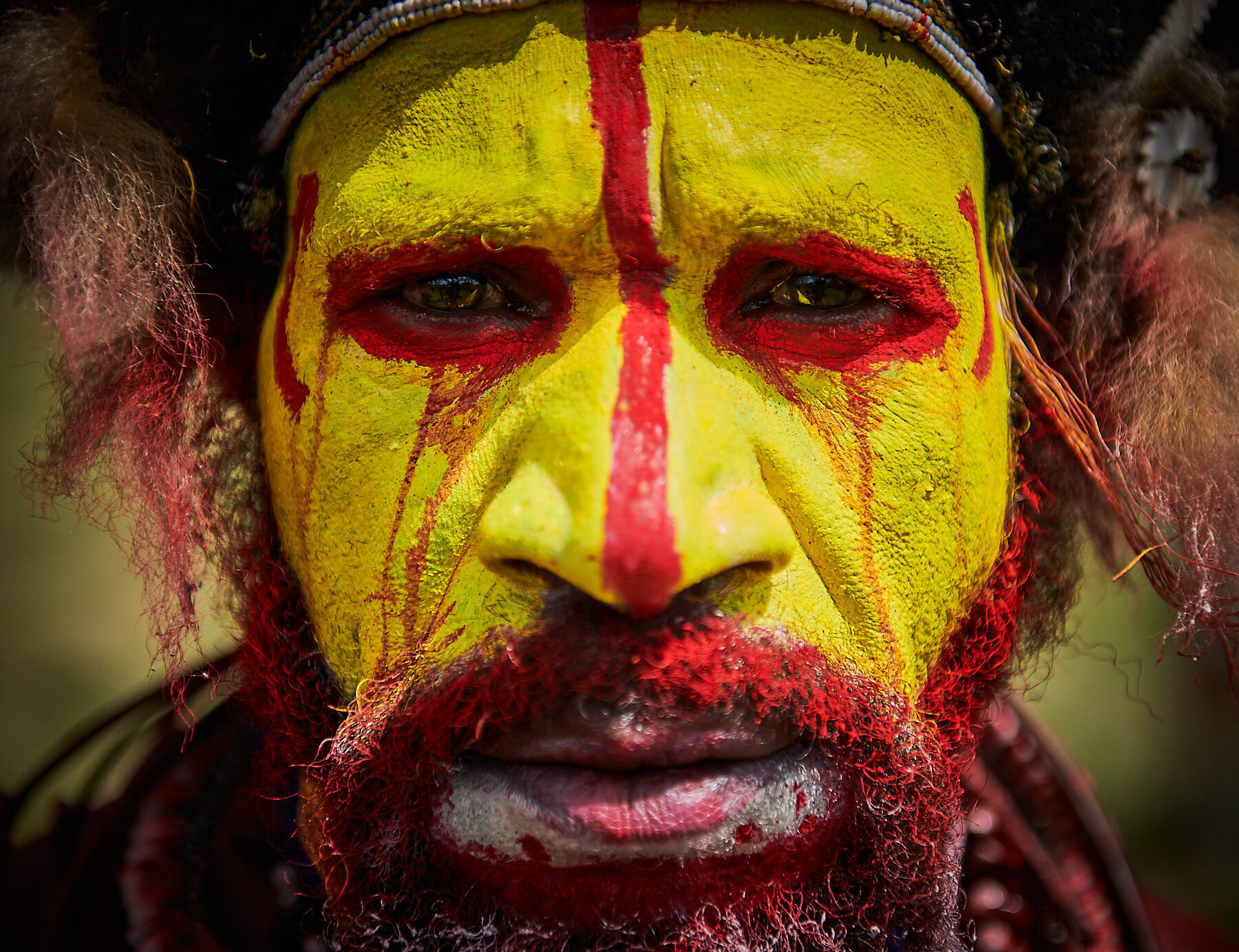 Huli warrior, Papua New Guinea