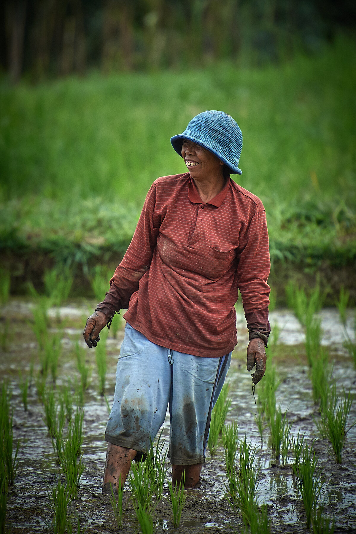 2017_August_14_Indonesia-4246.jpg