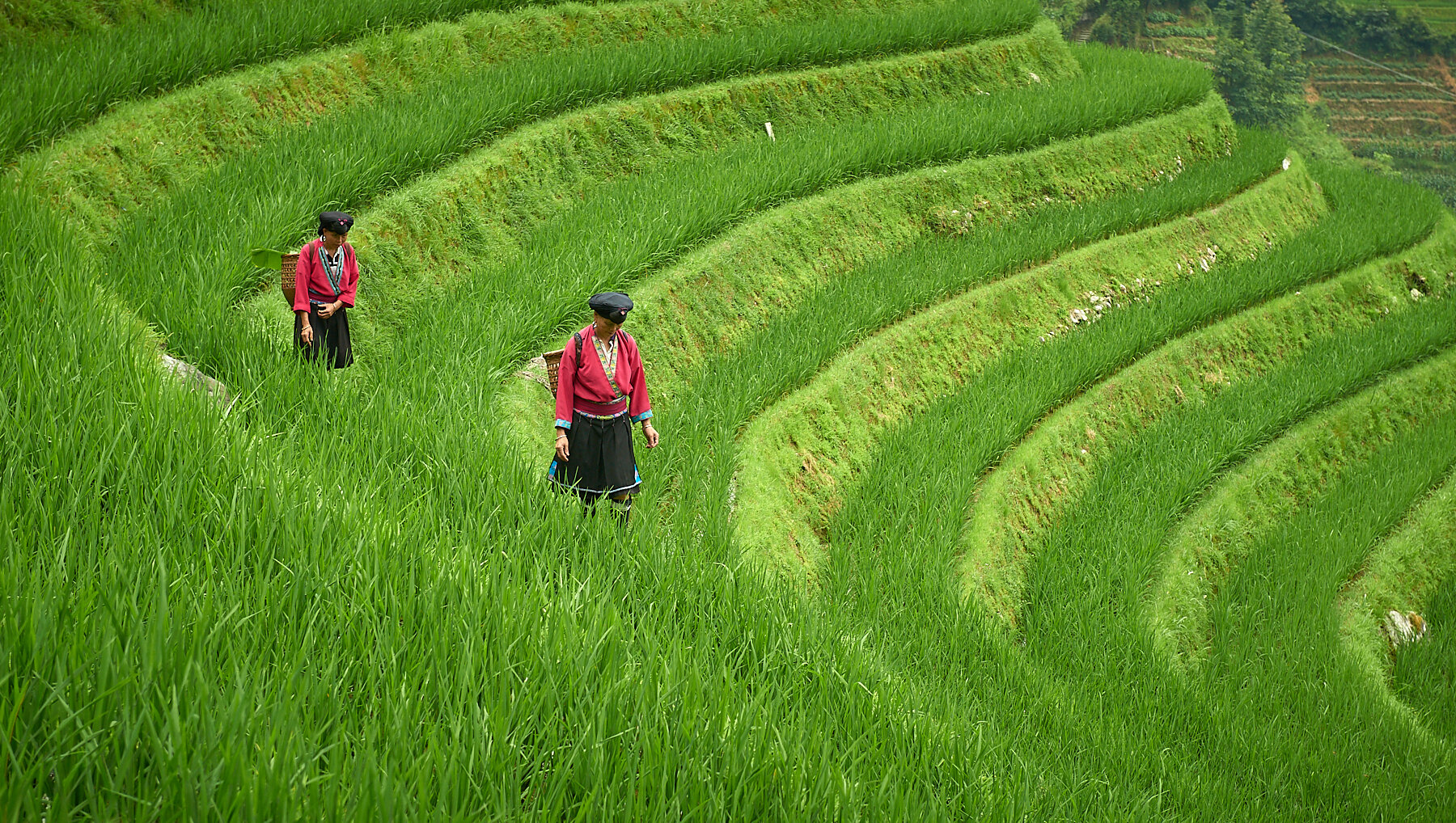 2013_July_20-China-3322.jpg