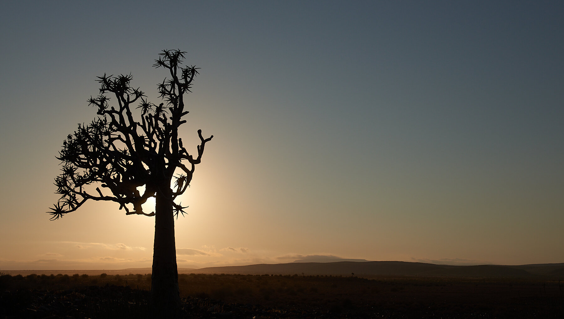 2014_August_09-Namibia-2789.jpg