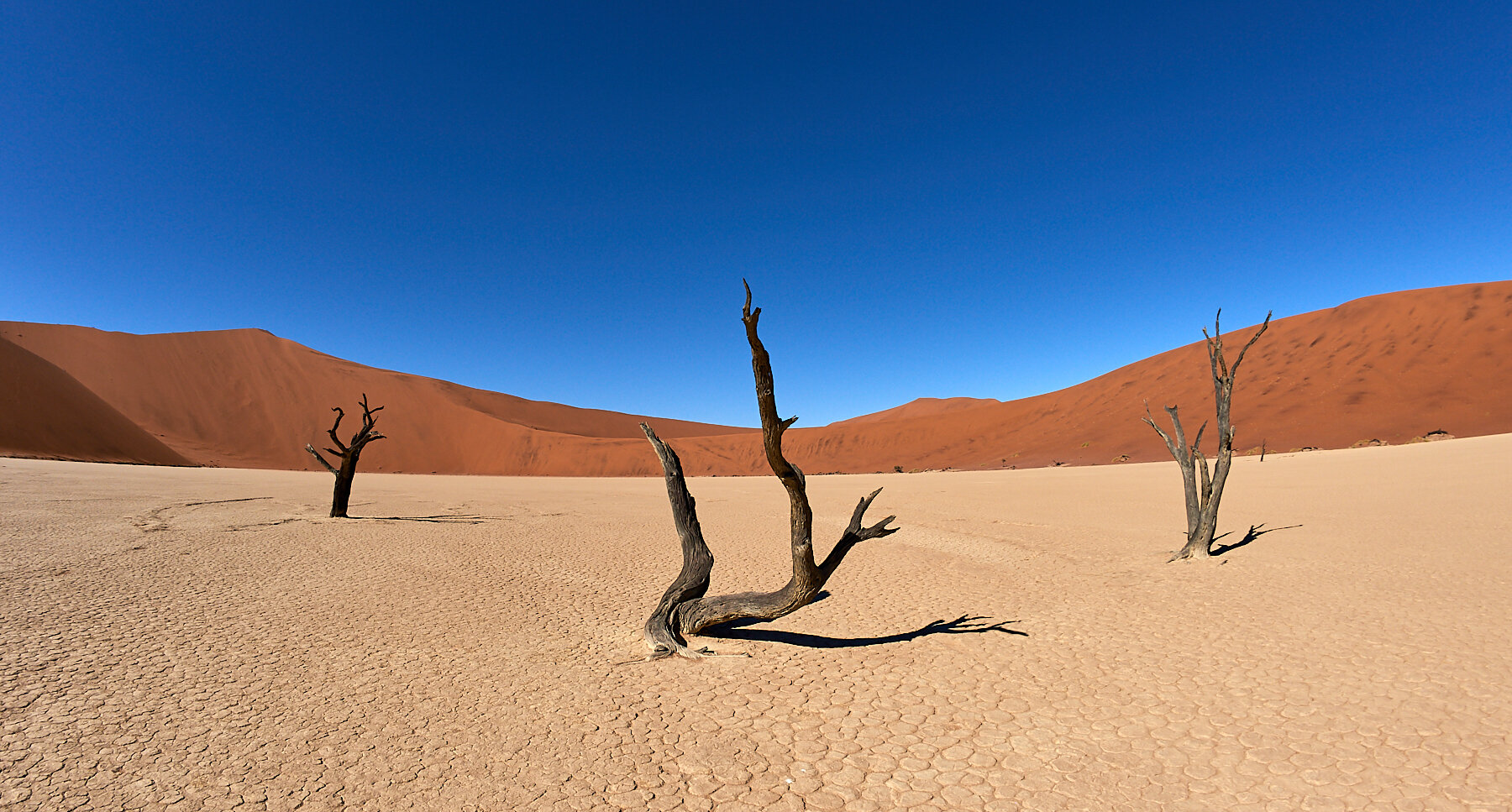 2014_August_10-Namibia-0005.jpg