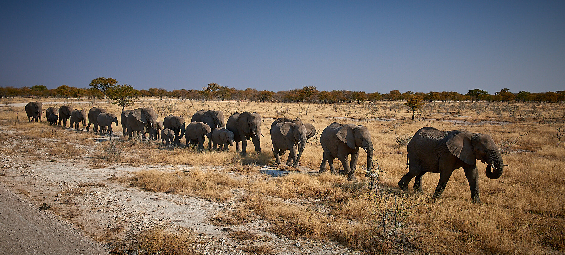 2014_August_15-Namibia-1446.jpg