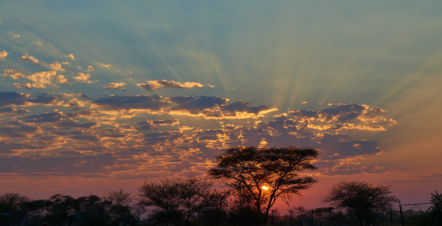 2014_August_17-Namibia-0041.jpg