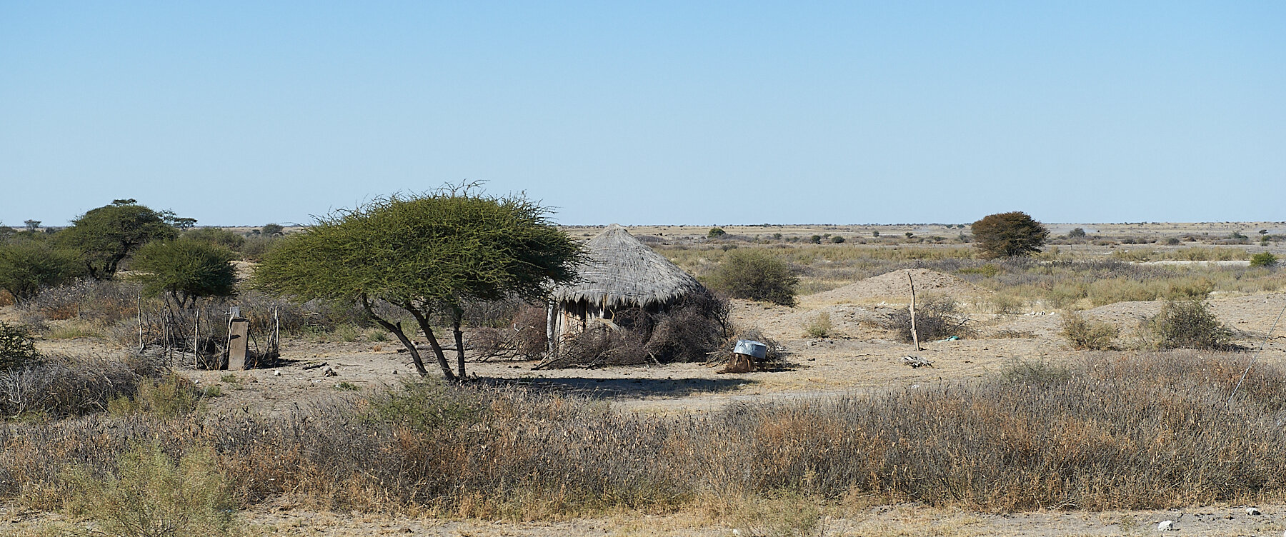 2011_August_02-Botswana-0177.jpg