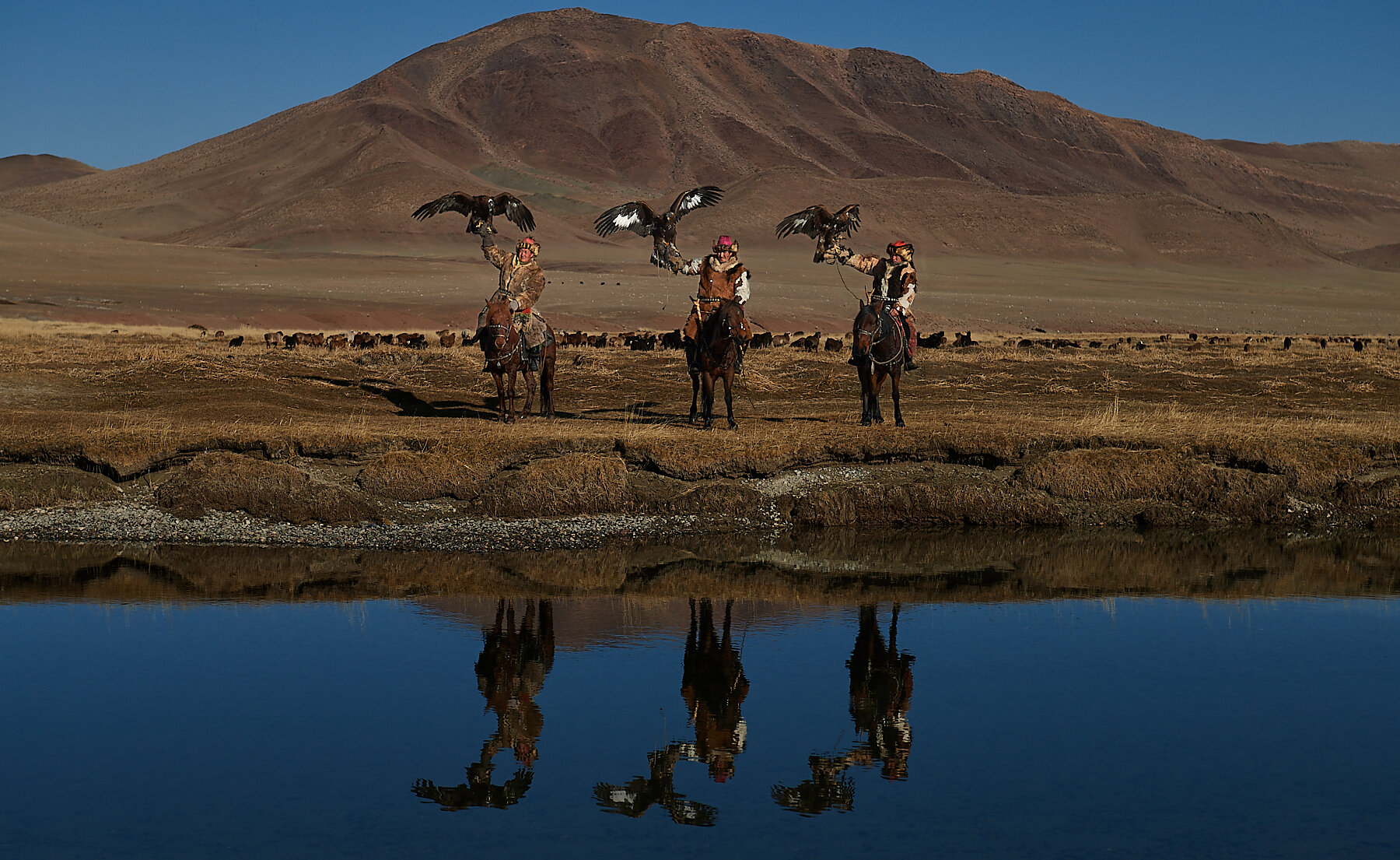 Bashakhan, Tileyjan and Karibek, Kazakh eagle hunters