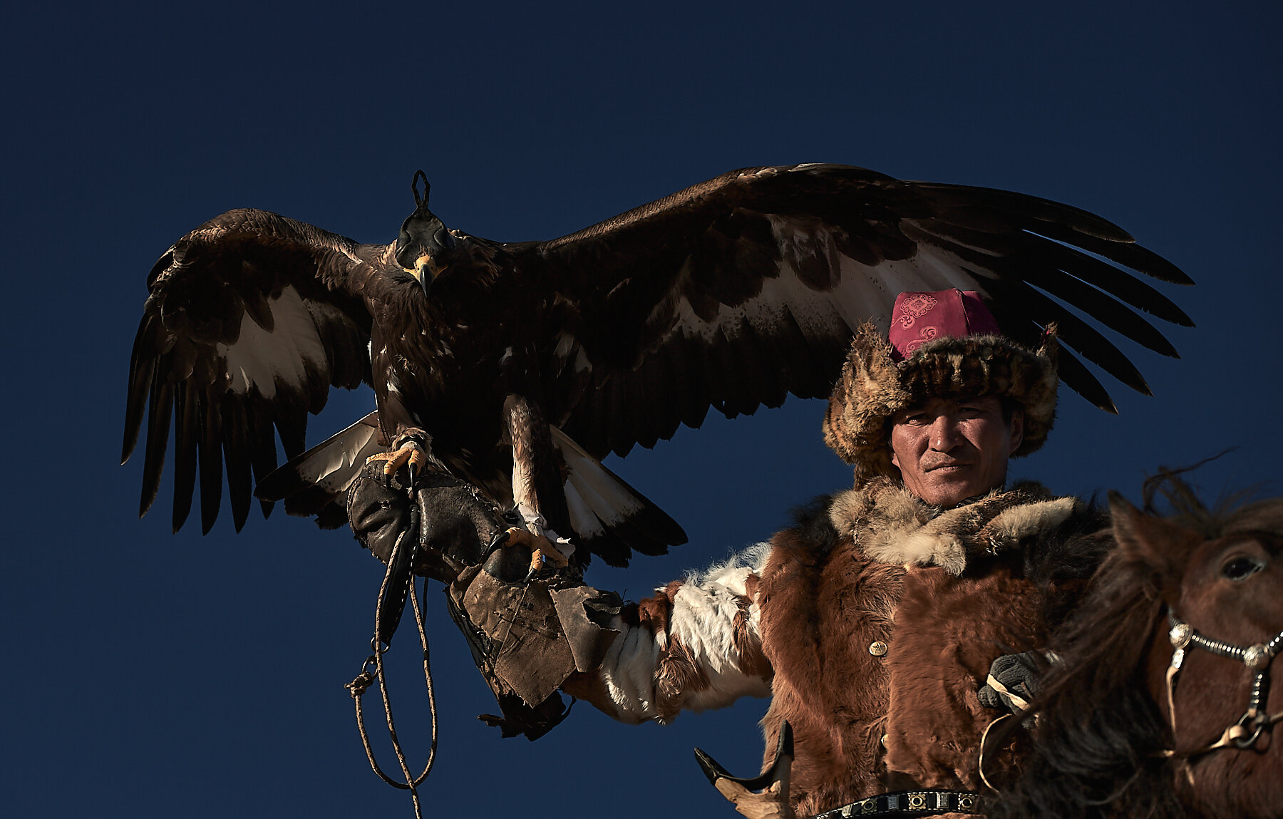 Karibek and his massive golden eagle