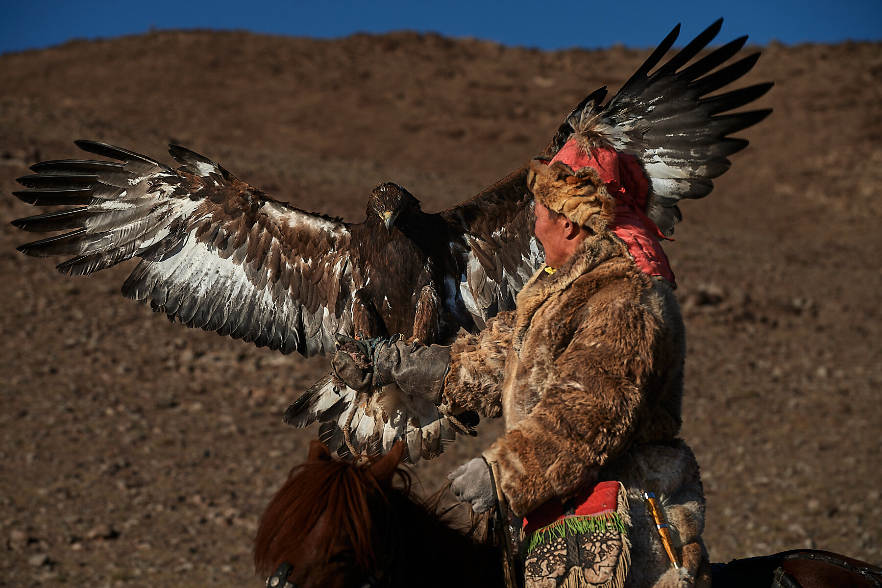 Bashakhan, one of the most famous eagle hunters with his eagle