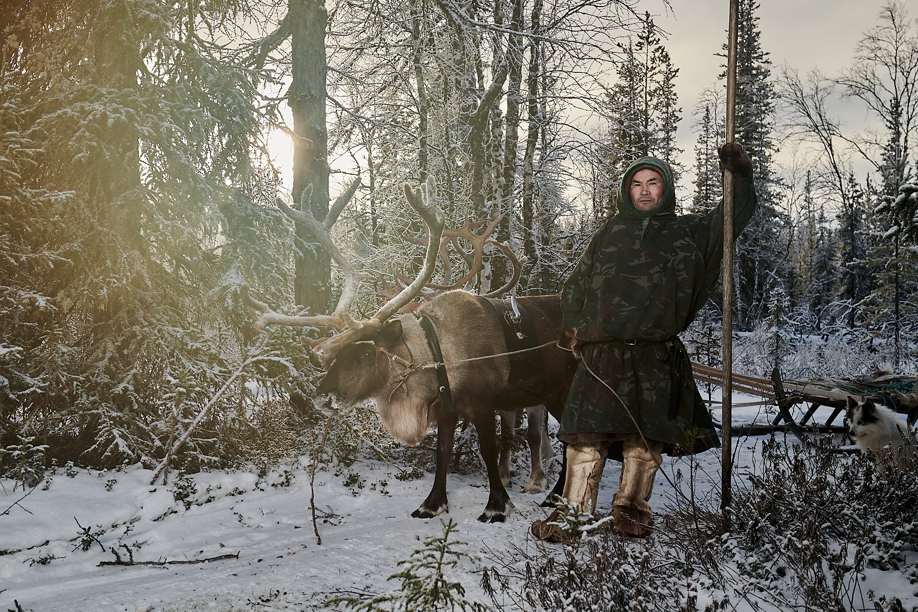 Kostya, a Nenets reindeer herder, Yamal Peninsula, Russia