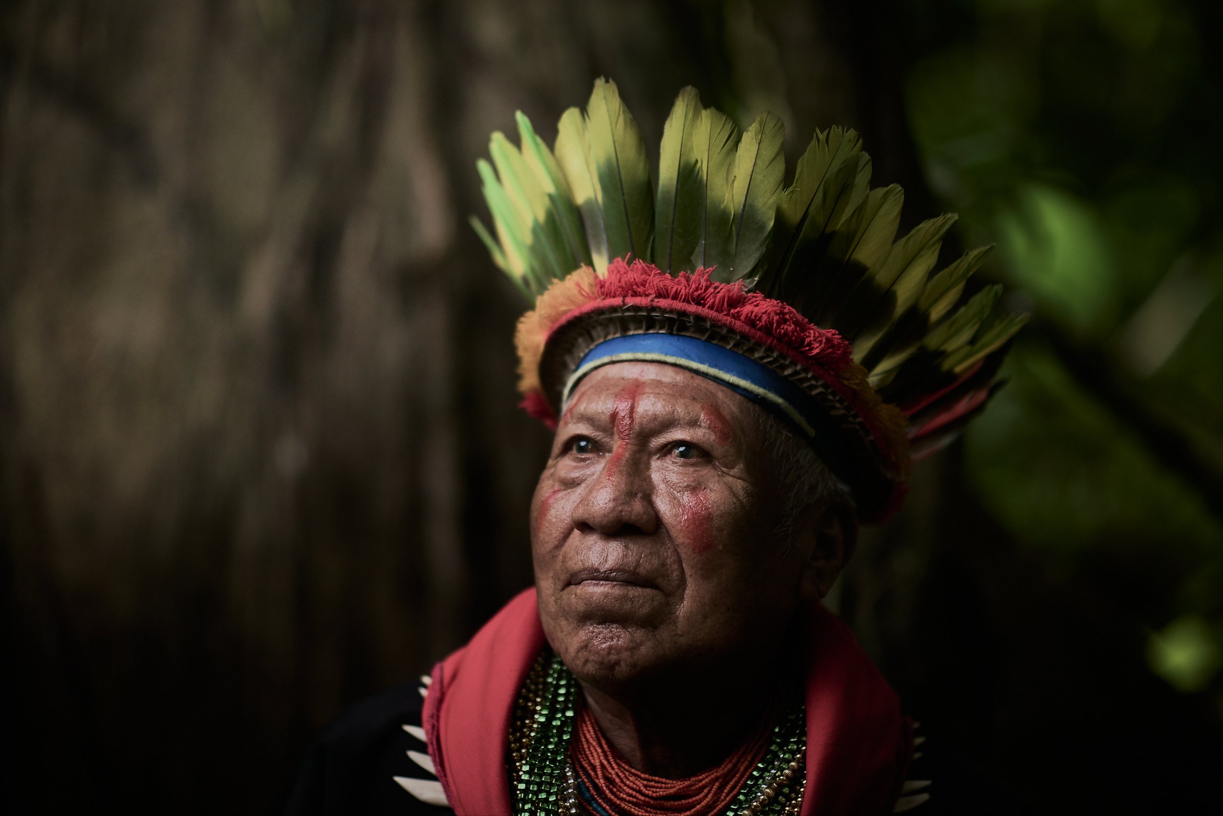 Don Hector, a 76yr old Cofan shaman