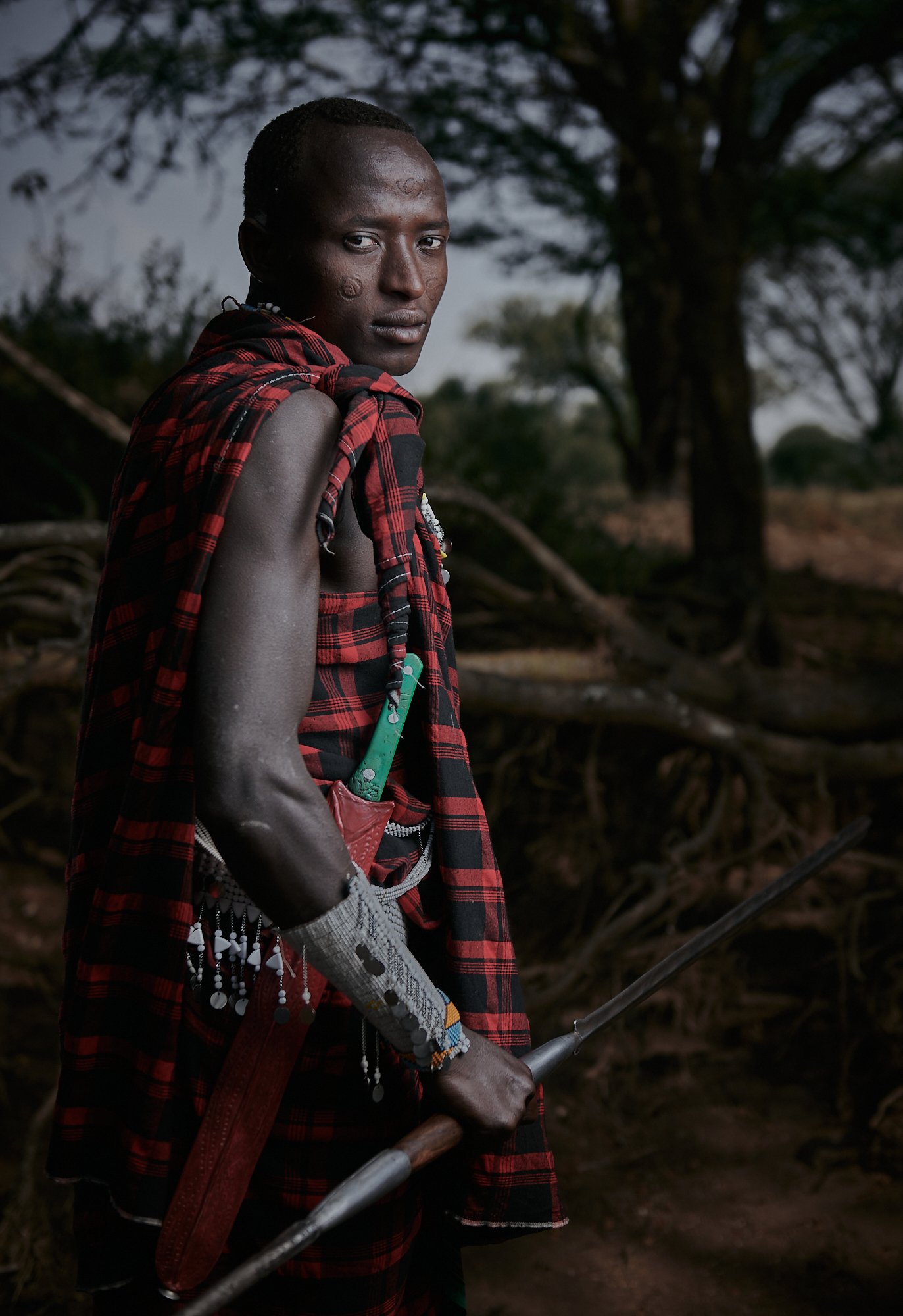 Maasai warrior, Tanzania