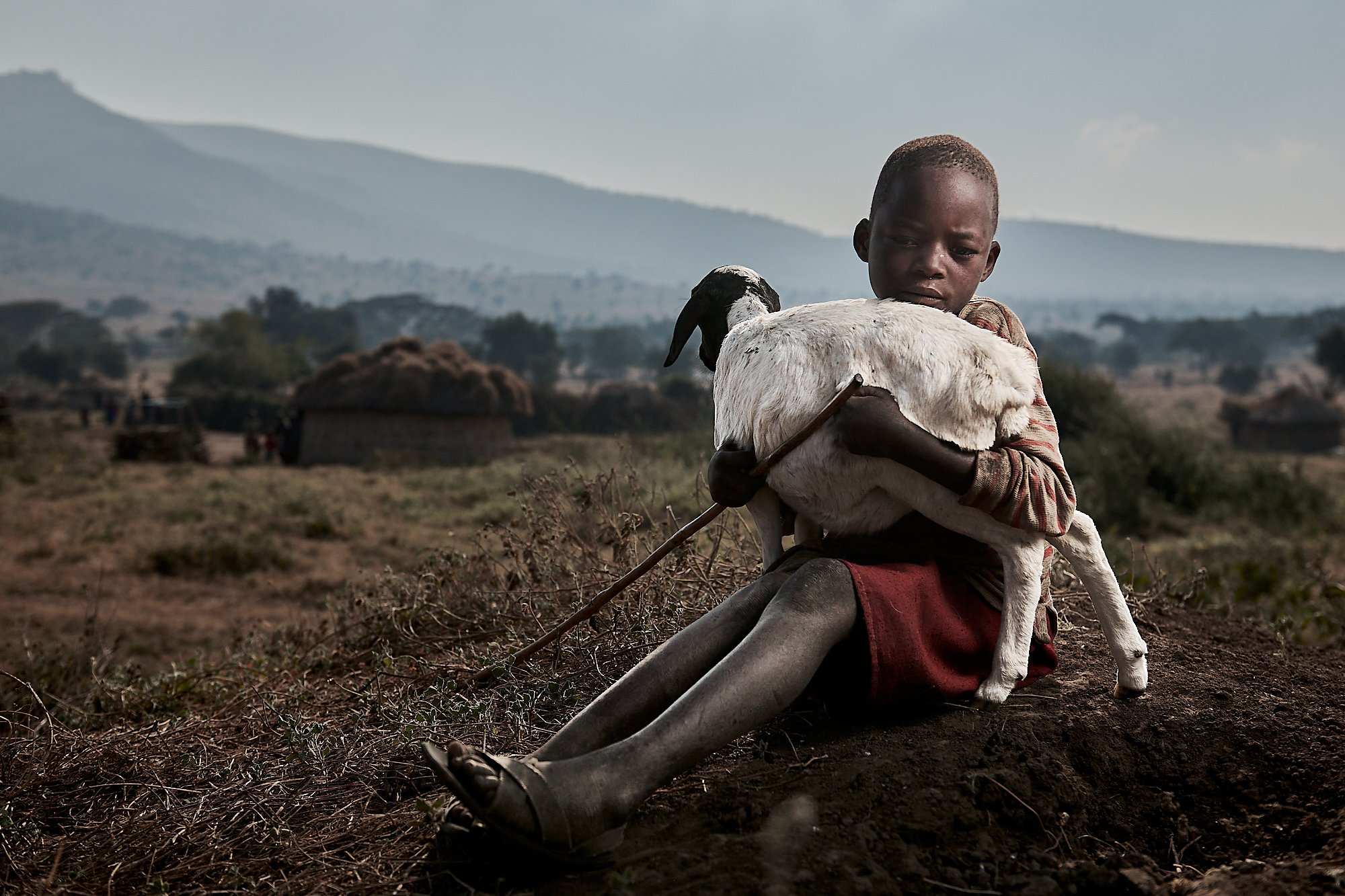Young Maasai children guard the village flock in small groups from the age of 13