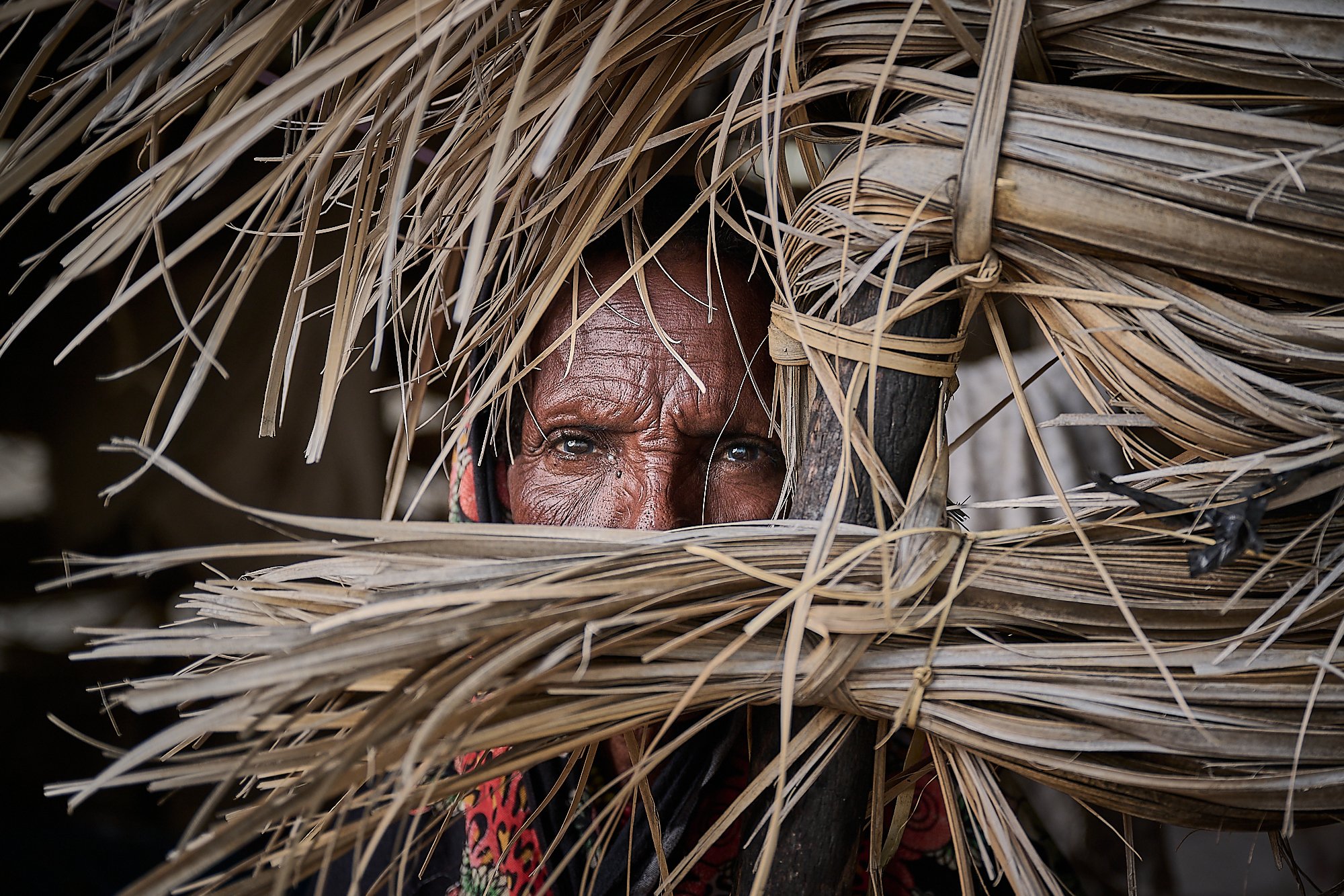 Gabbra elder, Northern Kenya