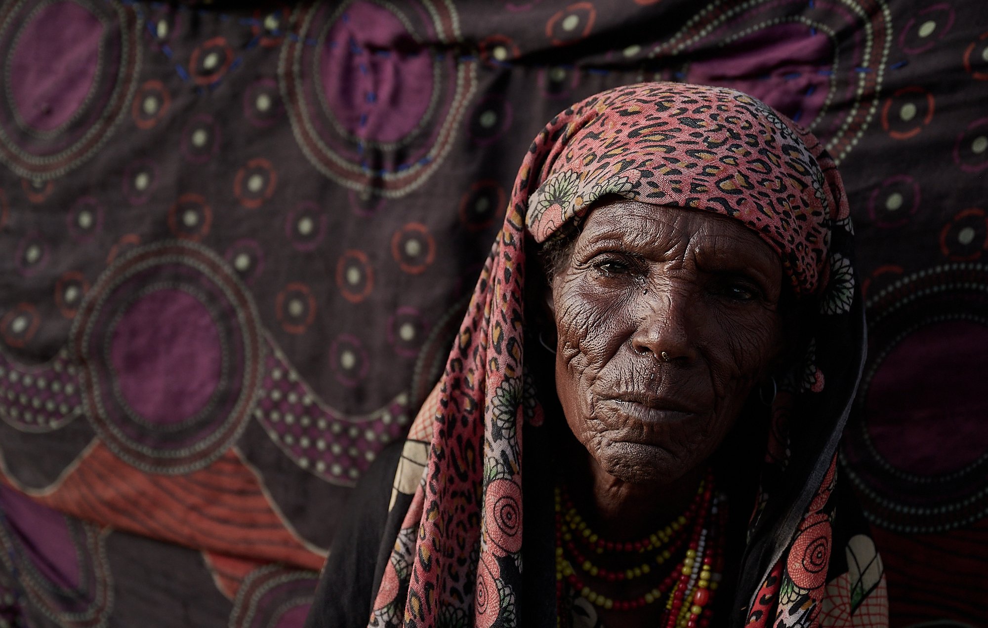 Gabbra female elder, Northern Kenya