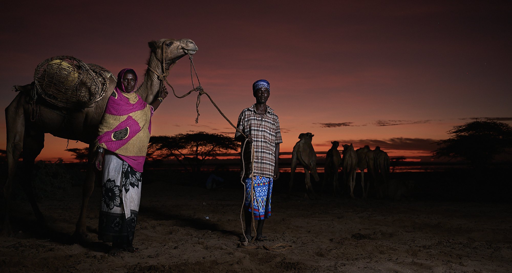 Gabbra couple preparing their camel for transport, Chalbi desert