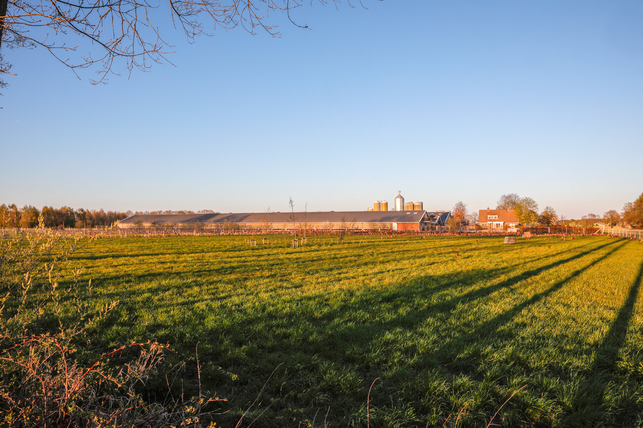 svk architectuurfotografie kippenboerderij