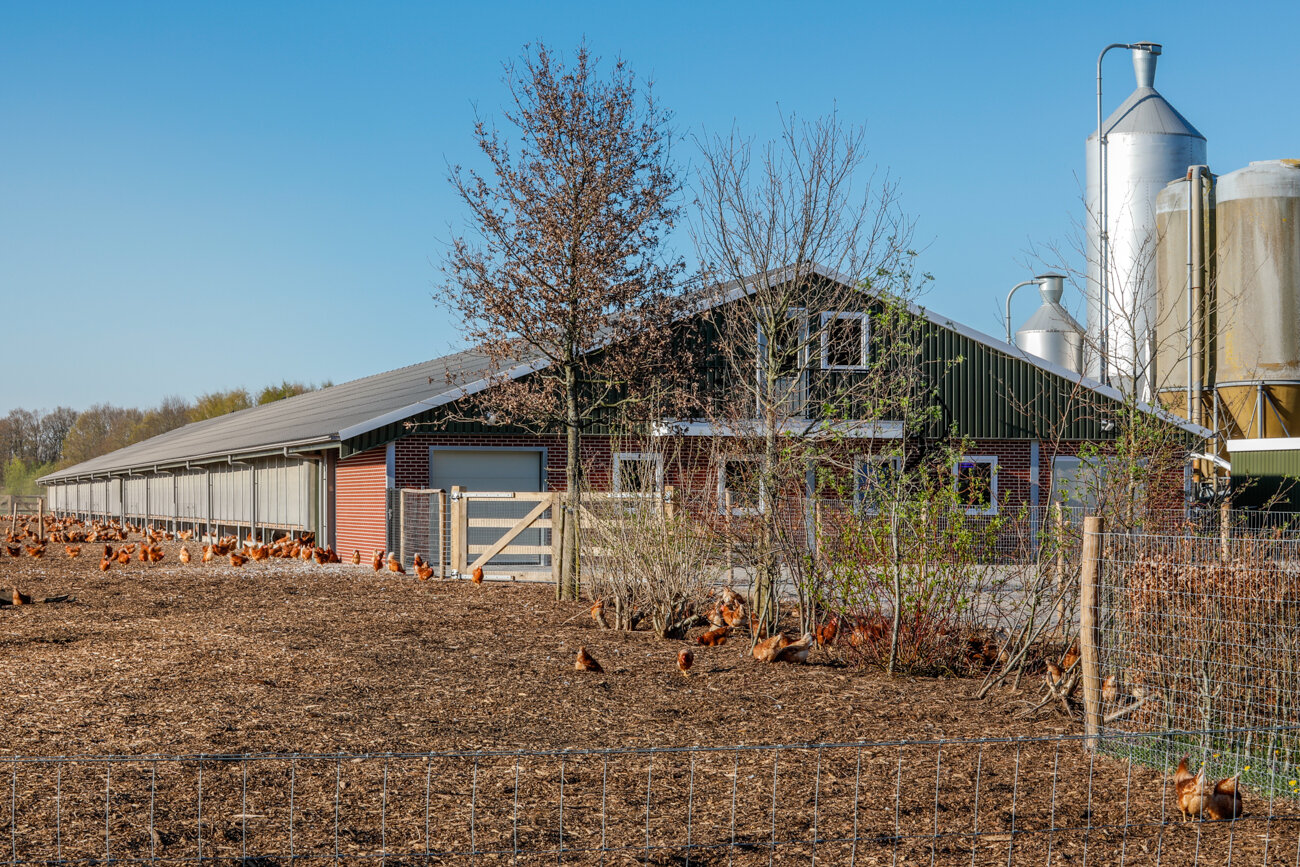 svk architectuurfotografie kippenboerderij