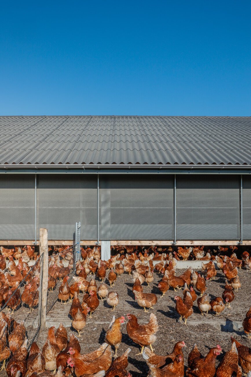 svk architectuurfotografie kippenboerderij