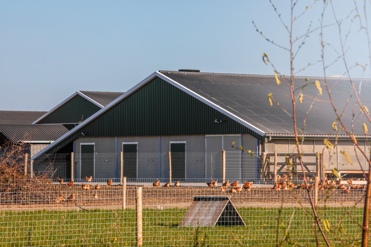 svk architectuurfotografie kippenboerderij