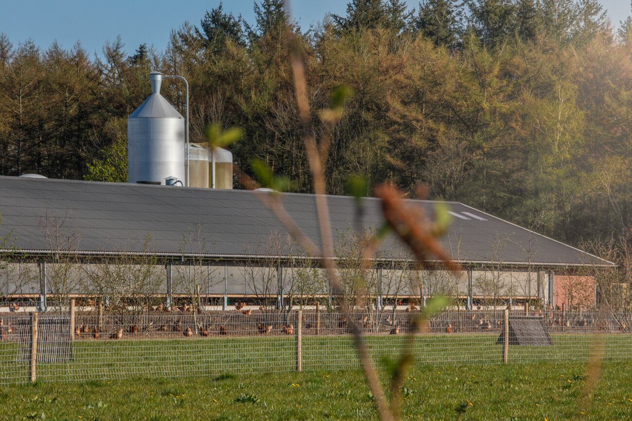 svk architectuurfotografie kippenboerderij