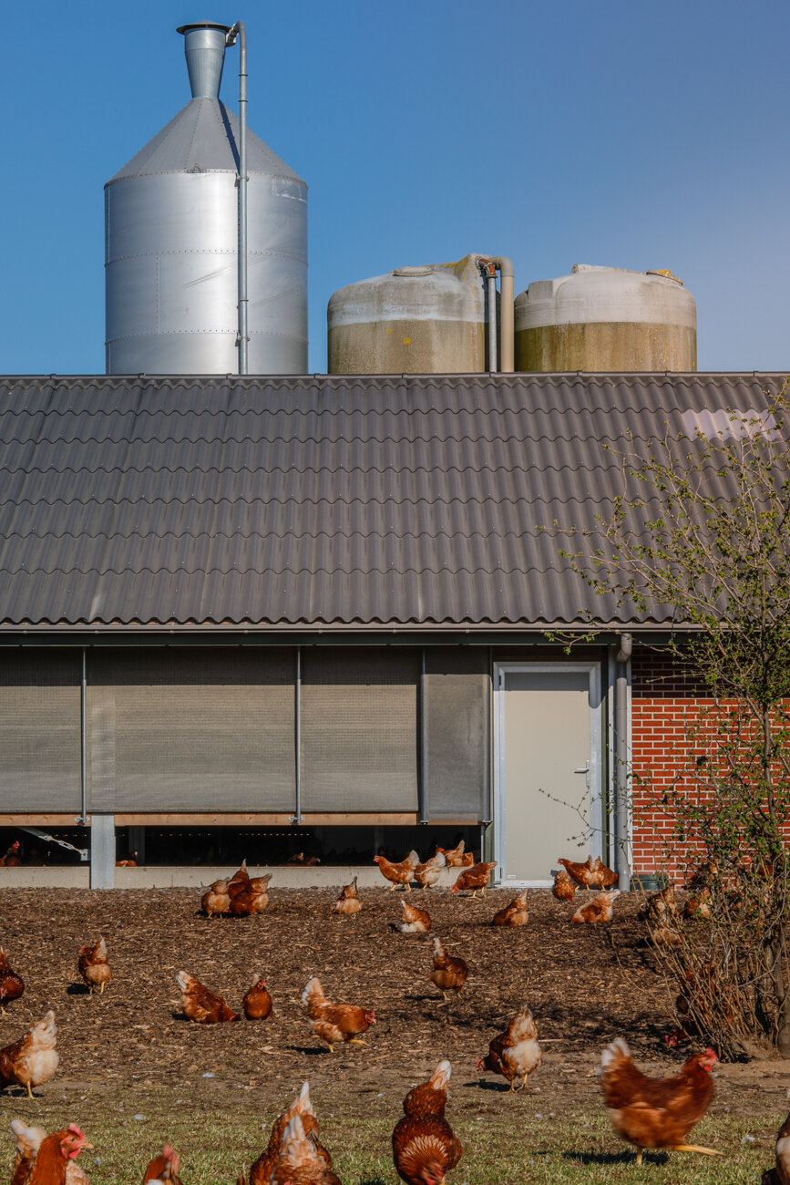 svk architectuurfotografie kippenboerderij