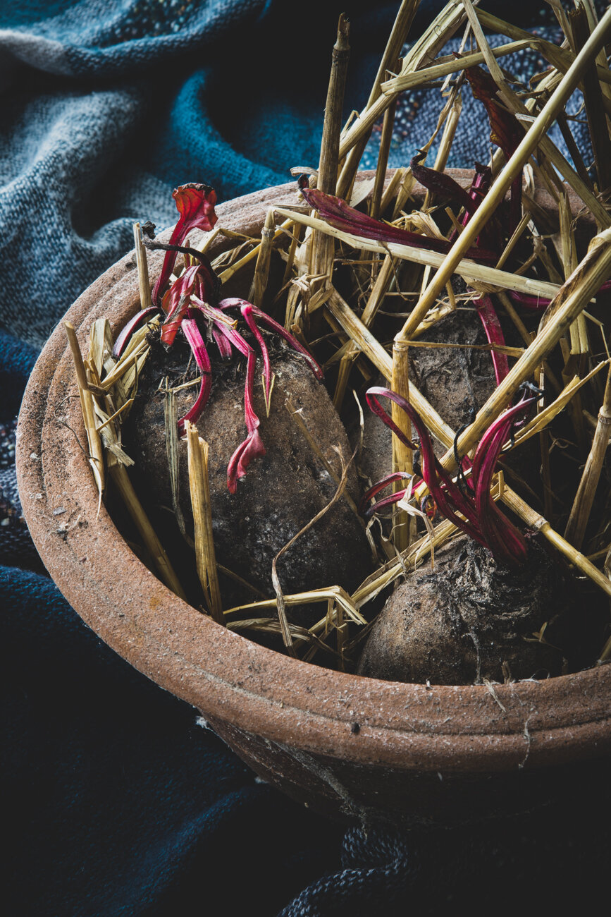 csa bio groenten food fotografie