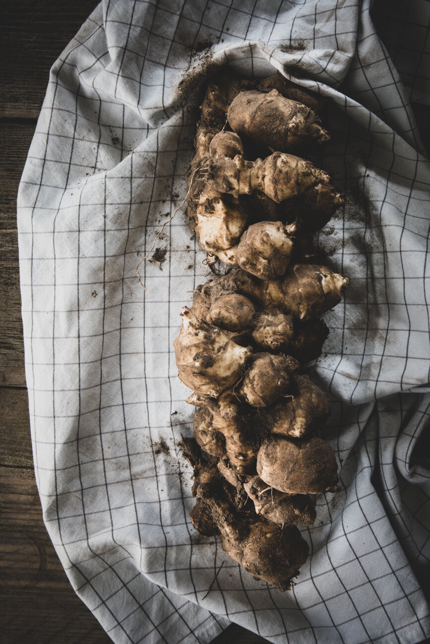 csa bio groenten food fotografie