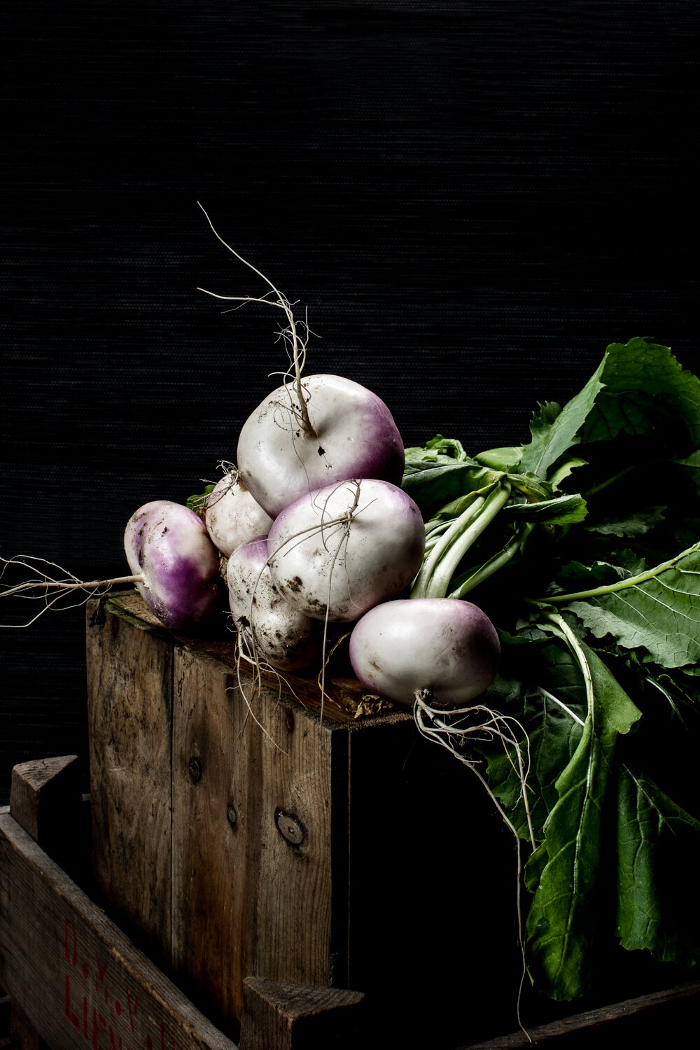 csa bio groenten food fotografie