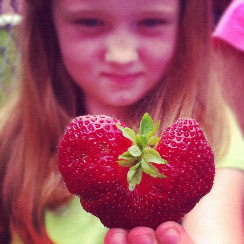 fruitlove.jpg