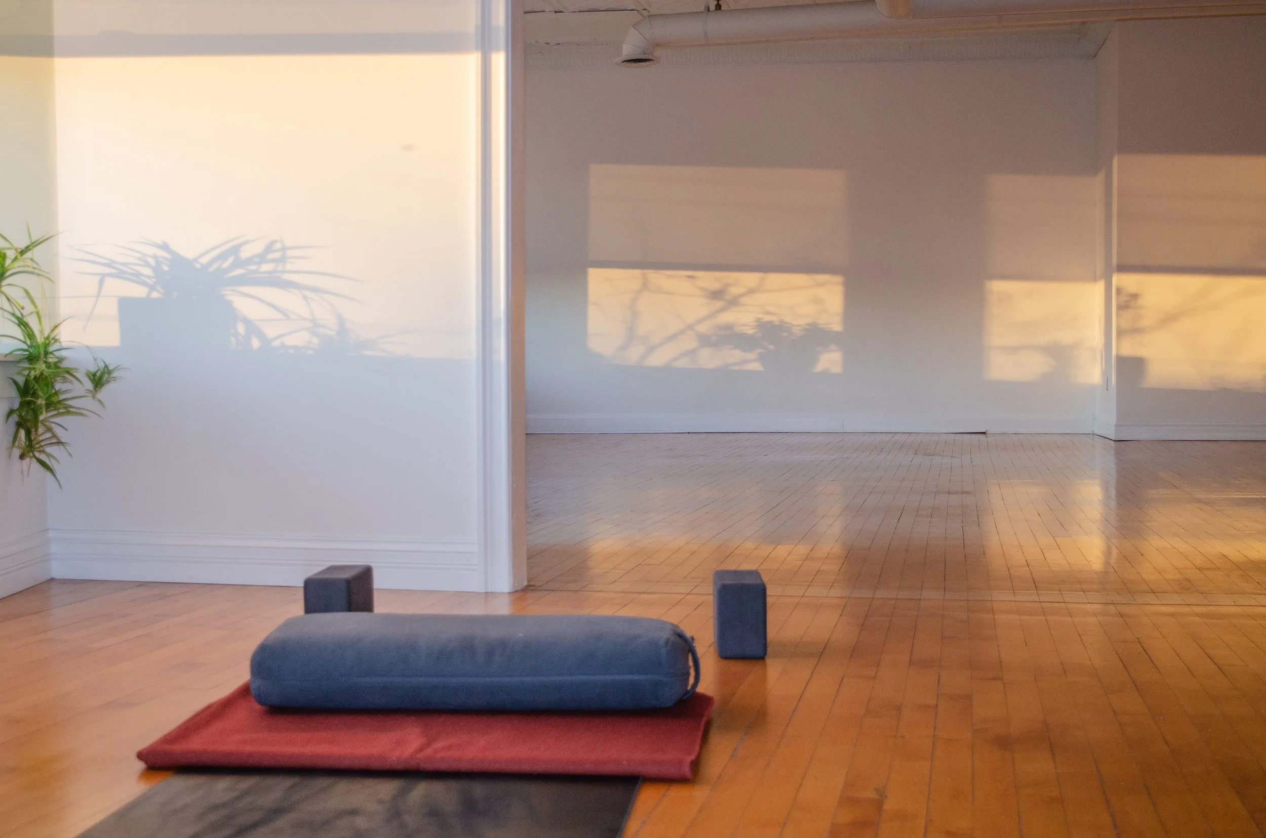 Reiki Level 1 Certification + Attunement