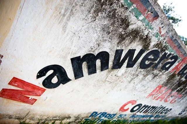 On World AIDS Day - The Power of Community Organizations to Change Lives