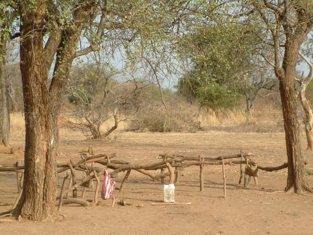 In 2005 children learned under the trees and sat on rocks or stick benches.