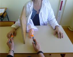 rubber hand illusion.jpeg
