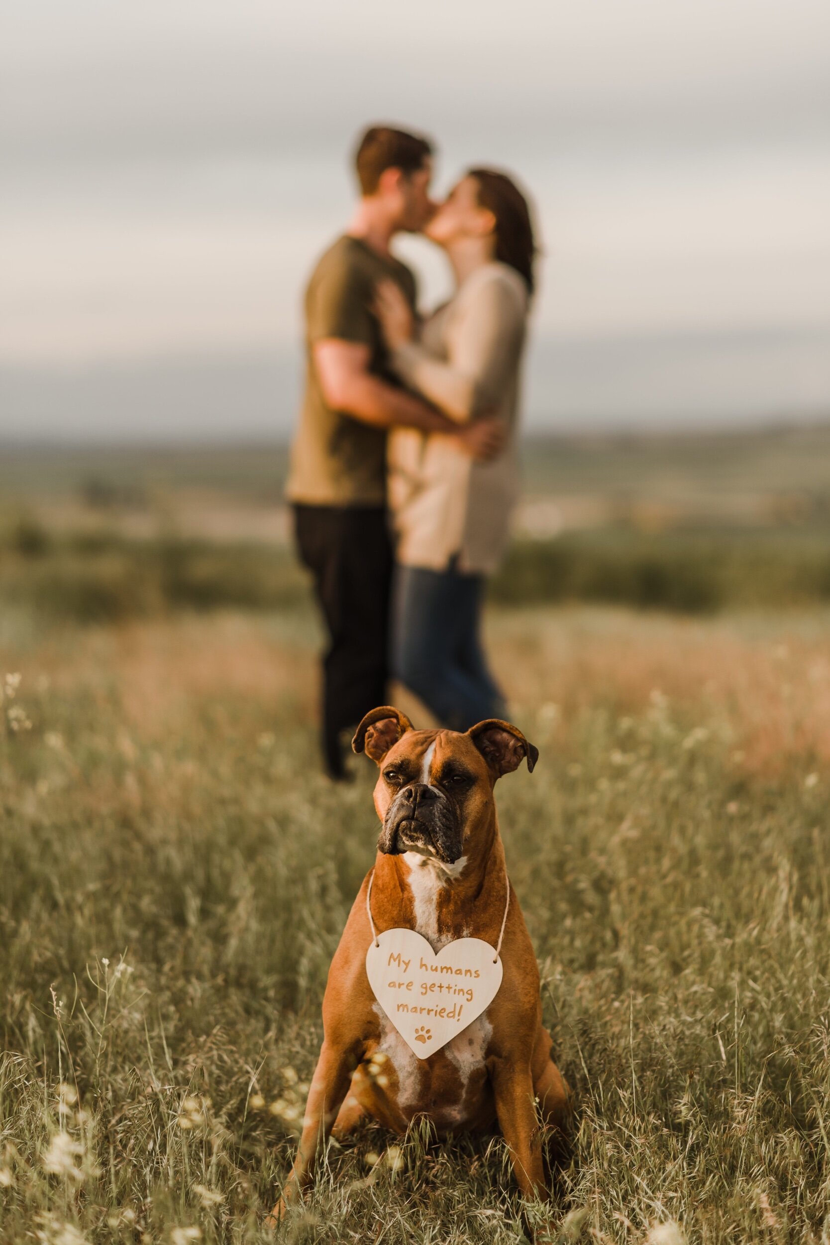 Spokane-Wedding-Photographer-Bailey-Riley-Photo-Kaelyn-Ragan-Golden-Hour-Engagement-Session-6.jpeg