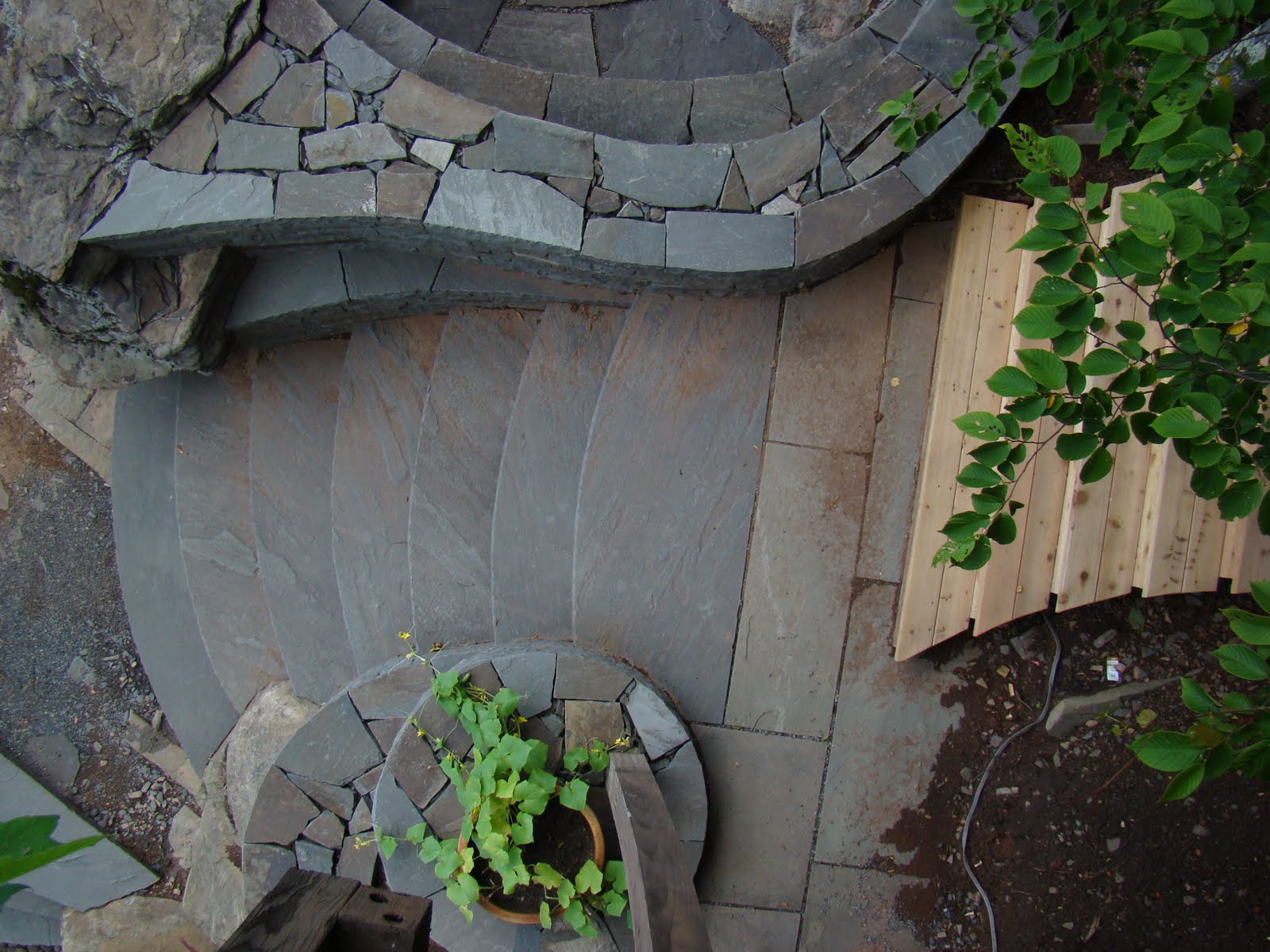 Copy of DSC02412.JPG