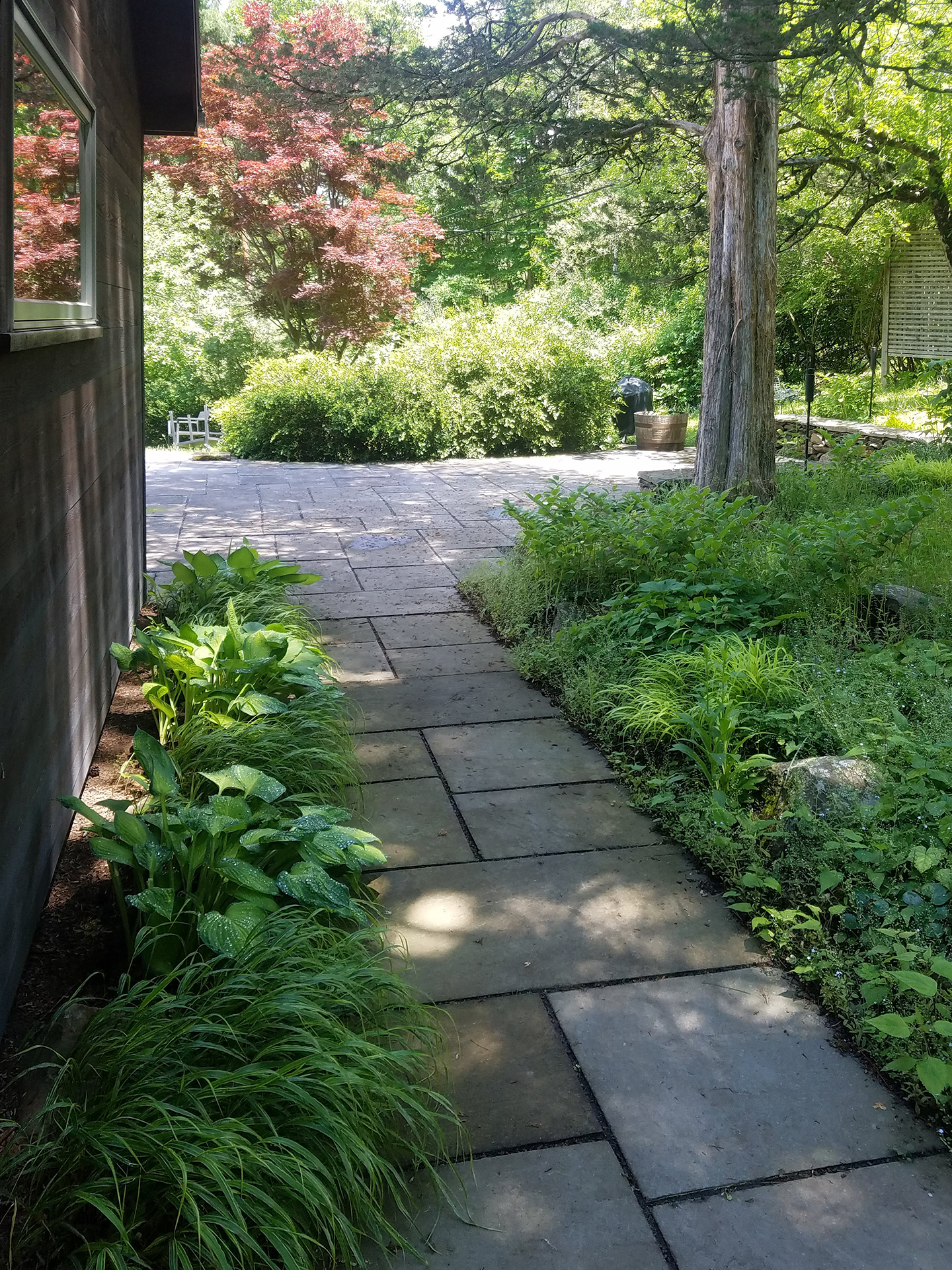 20180604_131946.jpg
