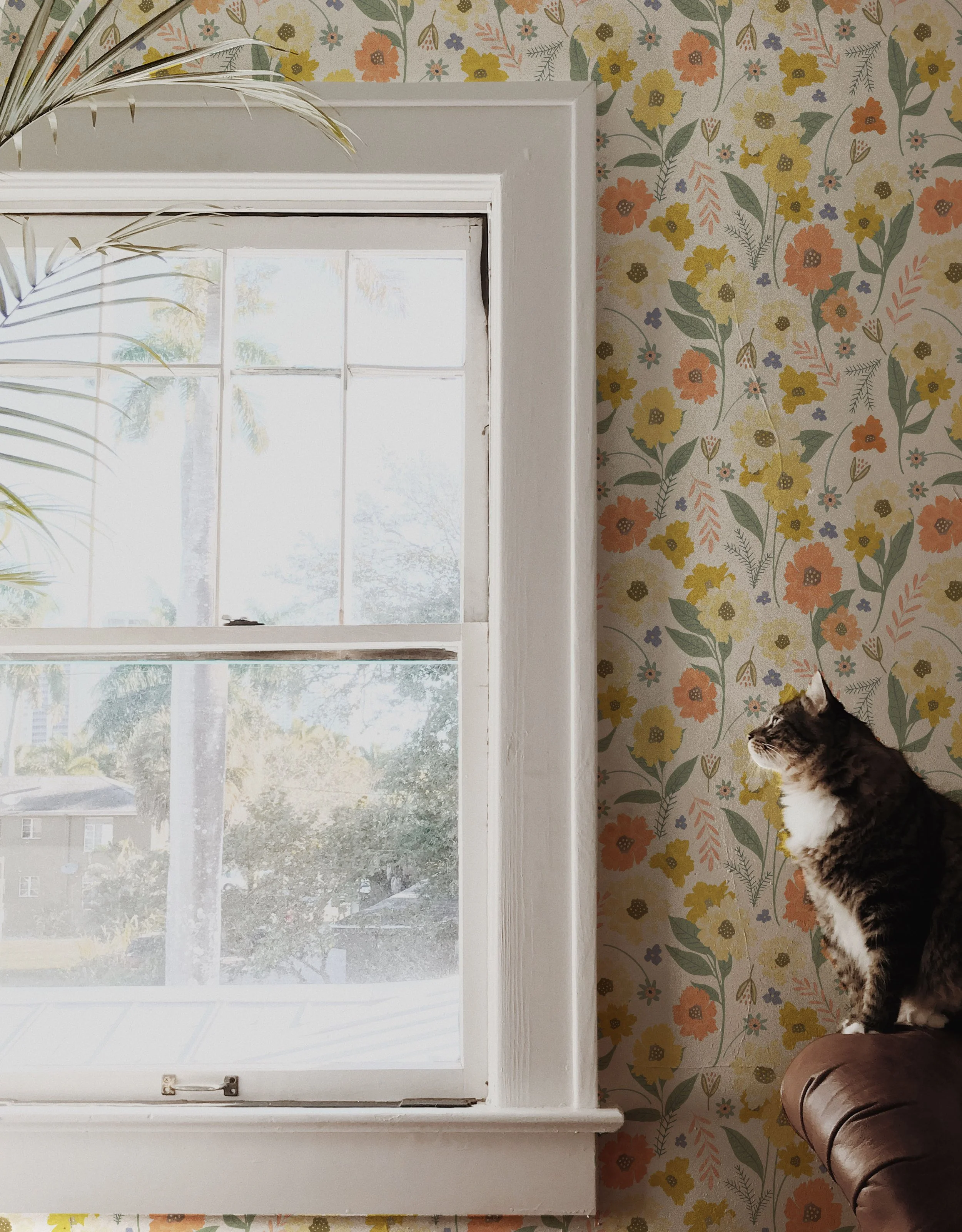 VictoryStudio11_Wallpaper-Window-Cat-Mockup.jpg