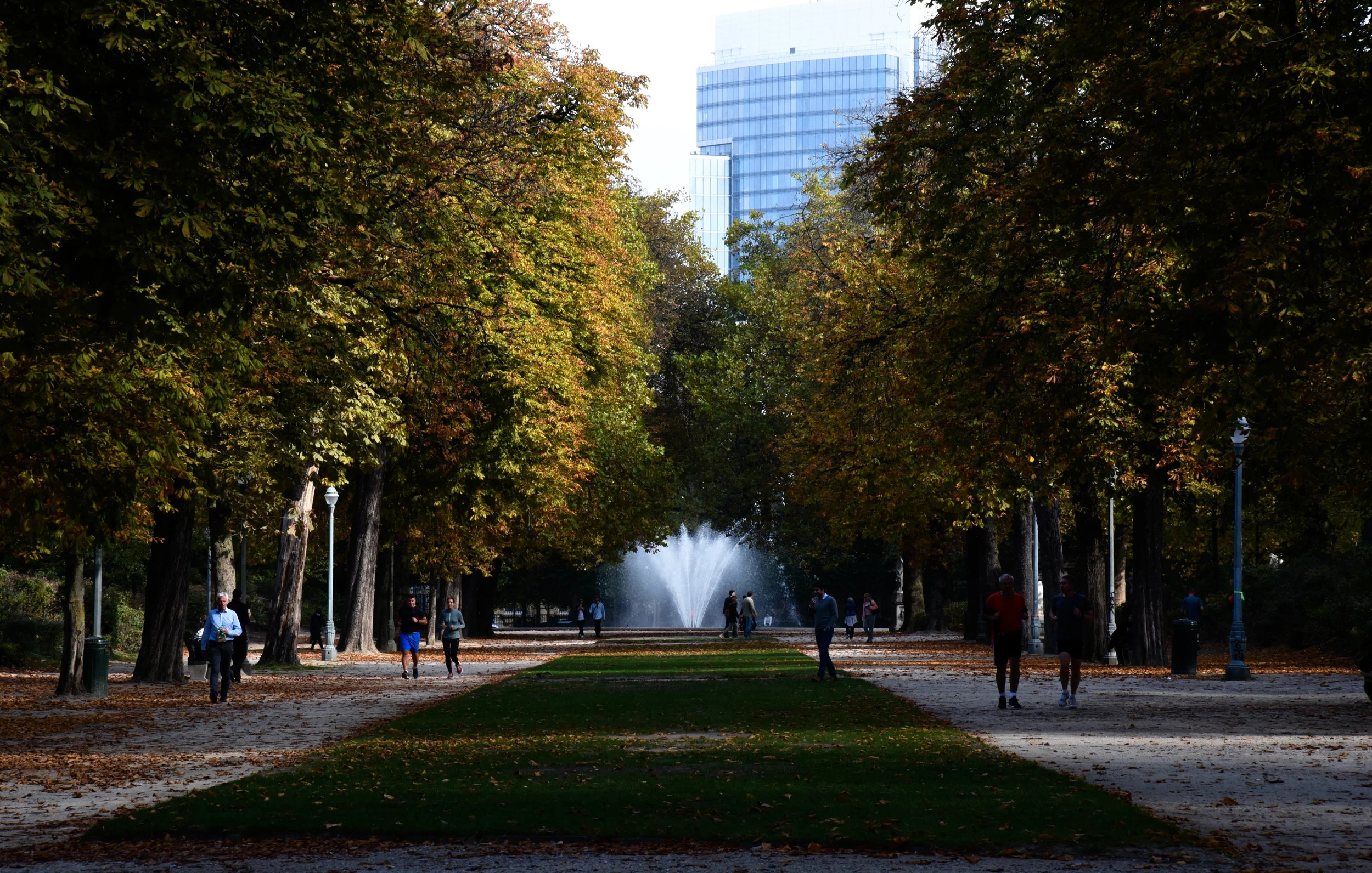 DSC_1238.jpg